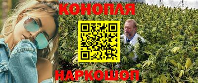 сатива Кумертау