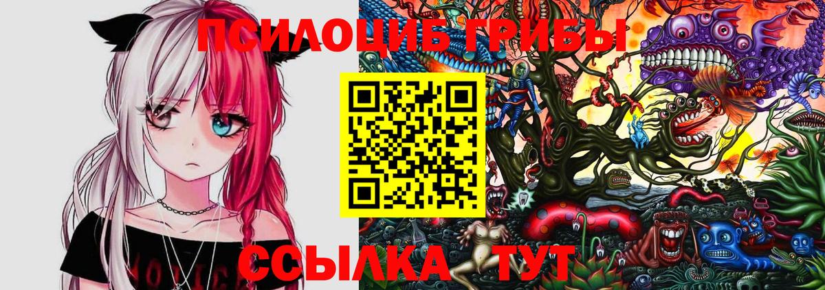 Галлюциногенные грибы Psilocybine cubensis Дивногорск