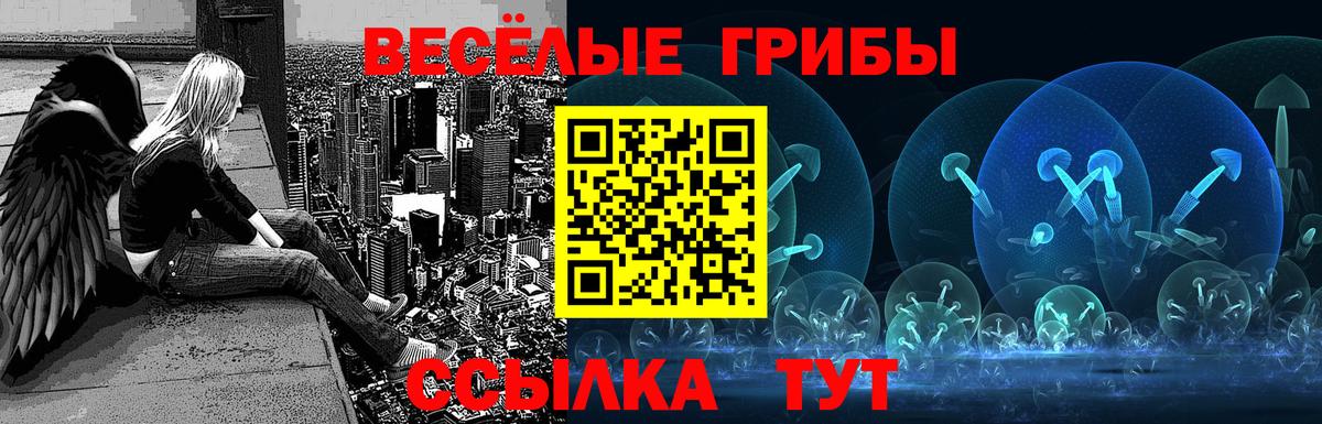 Псилоцибиновые грибы MAGIC MUSHROOMS  Вход с VPN  как найти наркотики  Дивногорск  Галлюциногенные грибы прущие грибы 